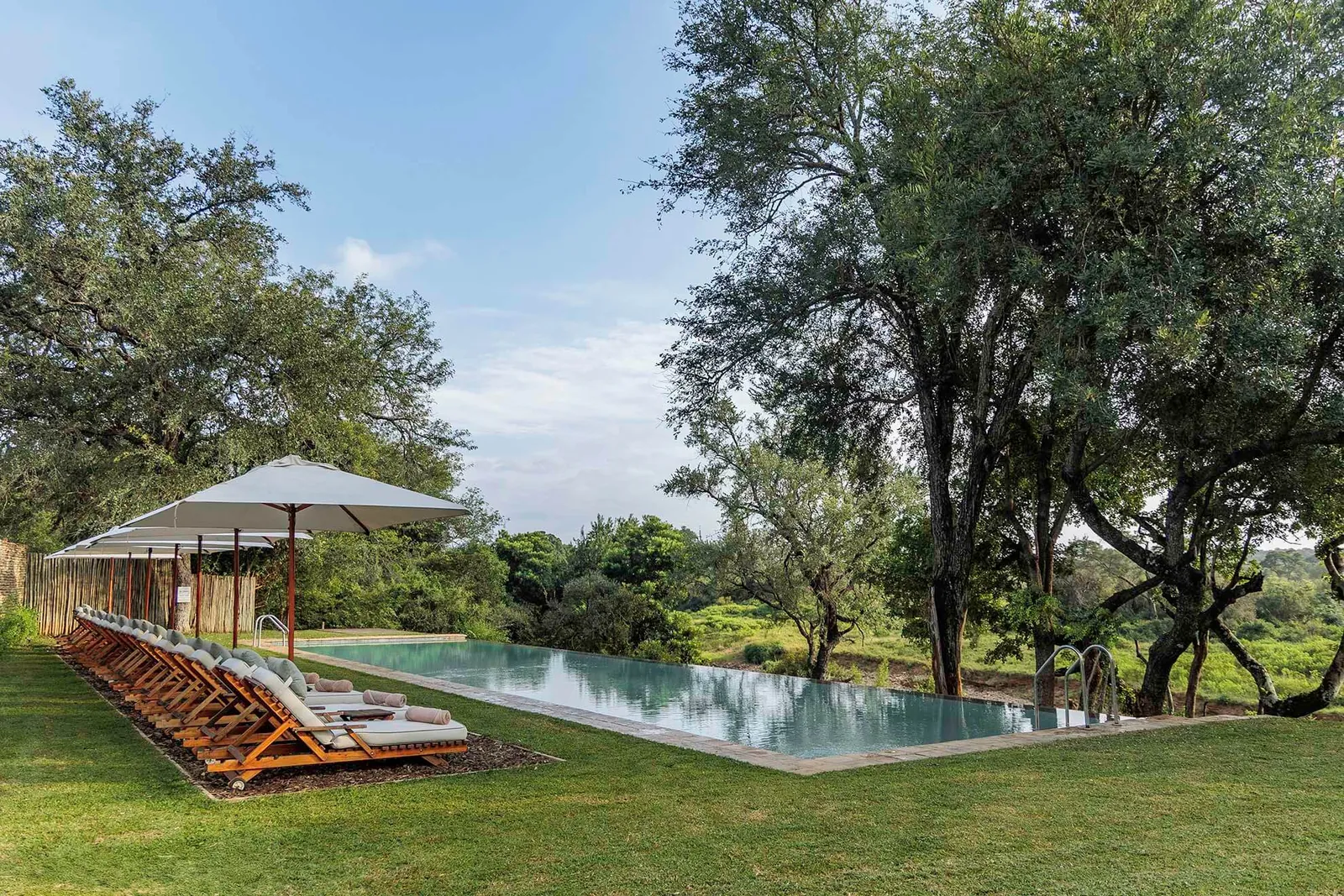 The pool at Becks Safari Lodge overlooking the wooded reserve