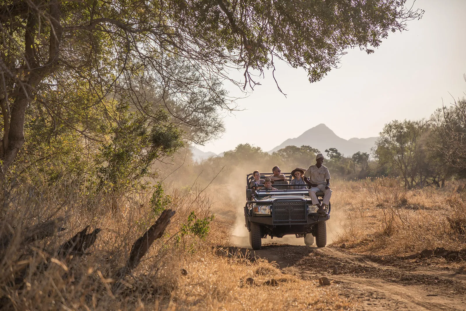 A game-viewing vehicle moving through Karongwe Private Game Reserve in golden light