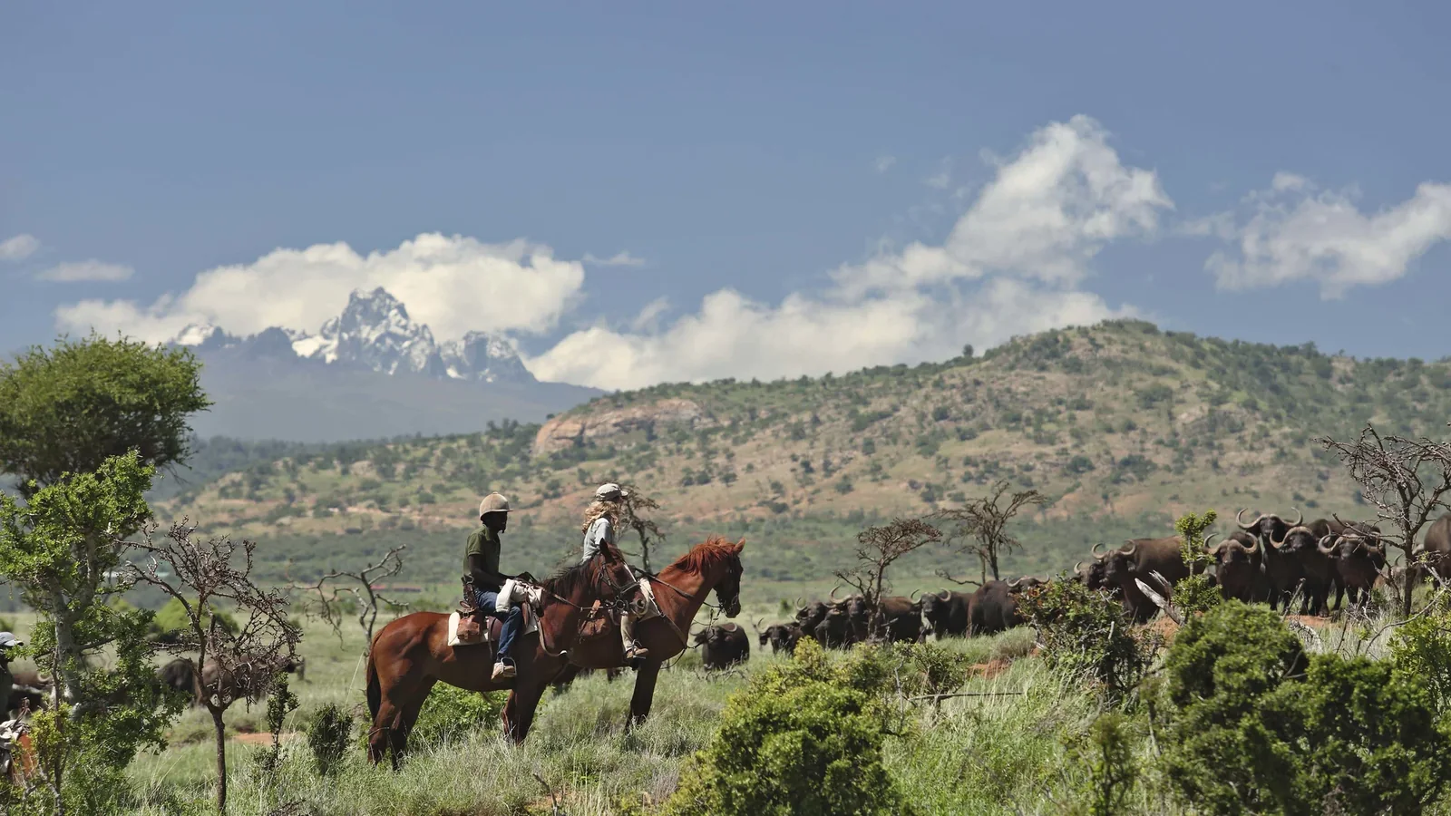 Horseback safari near a buffalo herd with Mount Kenya in the distance