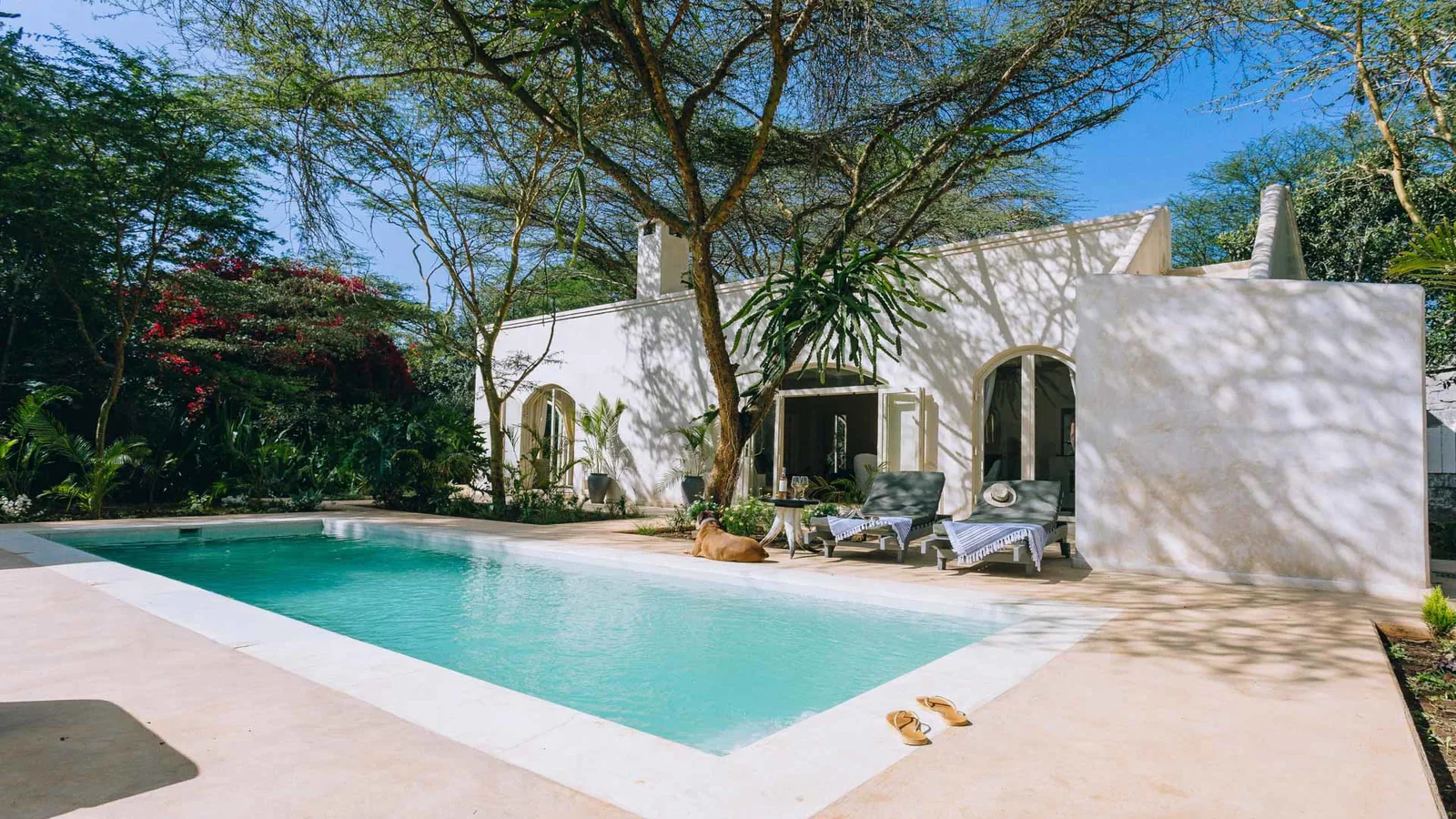 Swimming pool beside the white-walled Manzili House in Nairobi
