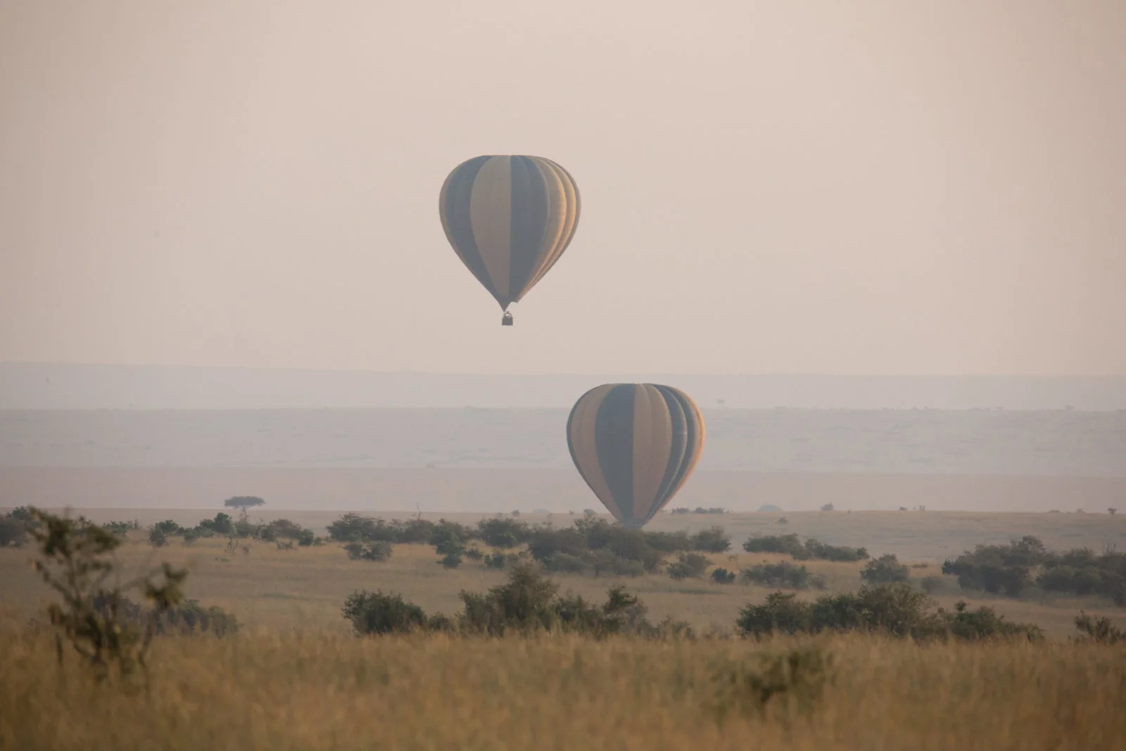 Hot-air balloon floating above the Maasai Mara at sunrise