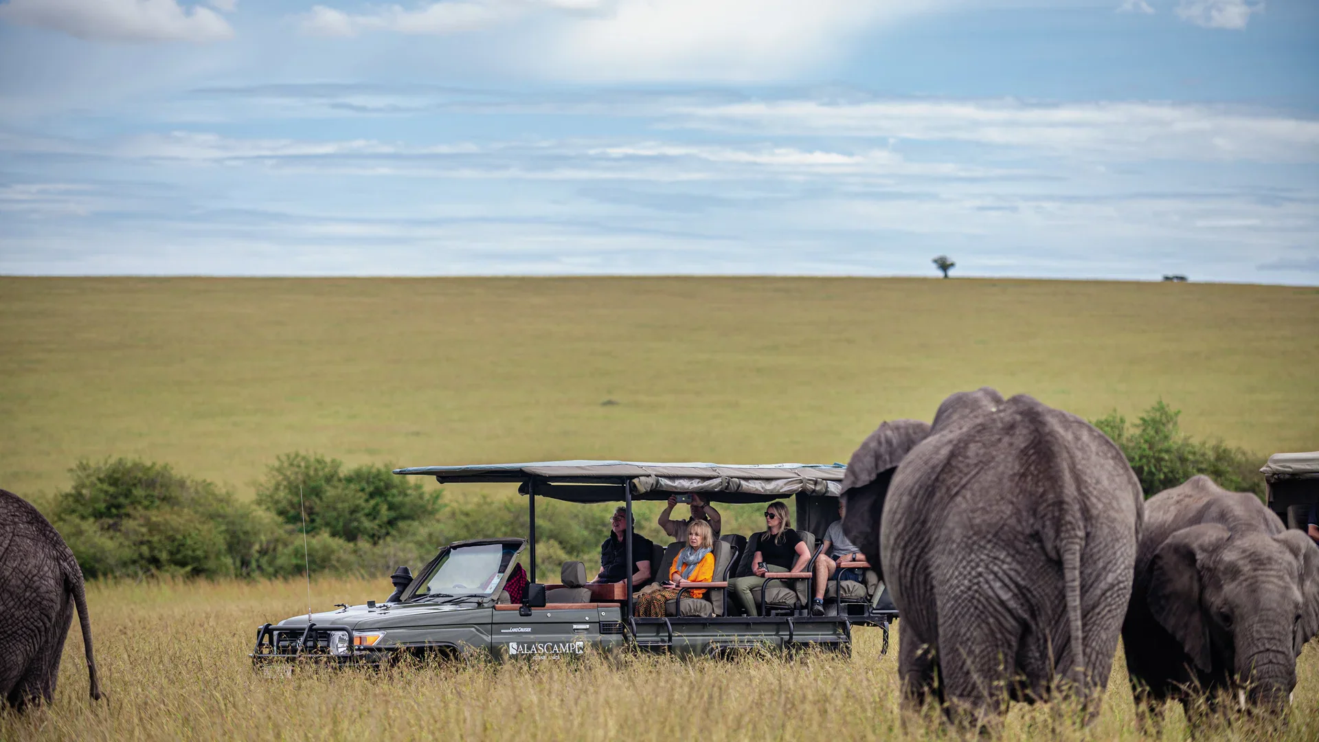 Guests watching elephants from an open safari vehicle on the Kenyan plains.