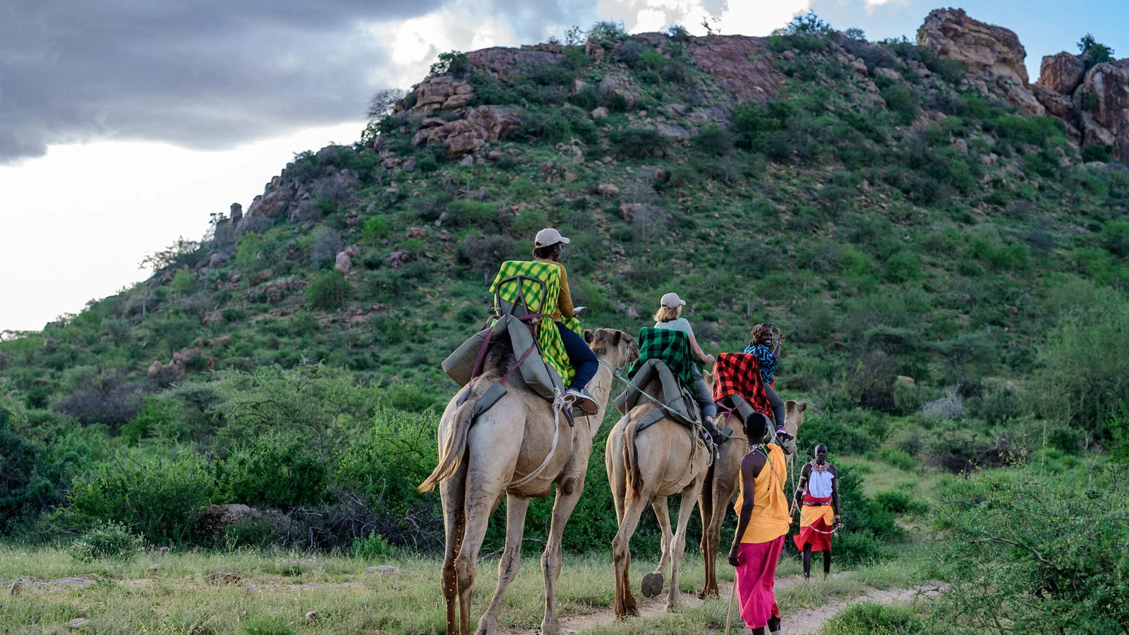 Guided camel safari in the Samburu landscape