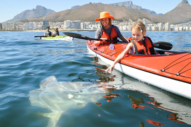 Child and adult kayaking off Sea Point in Cape Town, with Table Mountain in the background