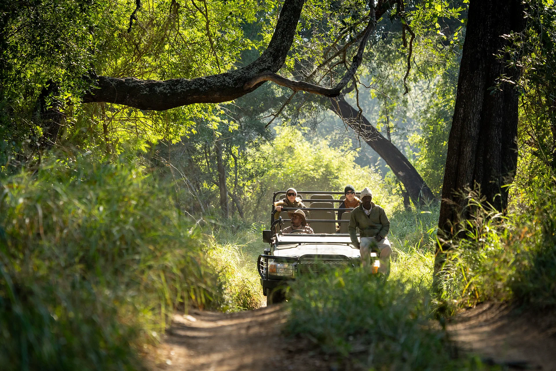 Safari vehicle travelling through woodland in Karongwe Private Game Reserve