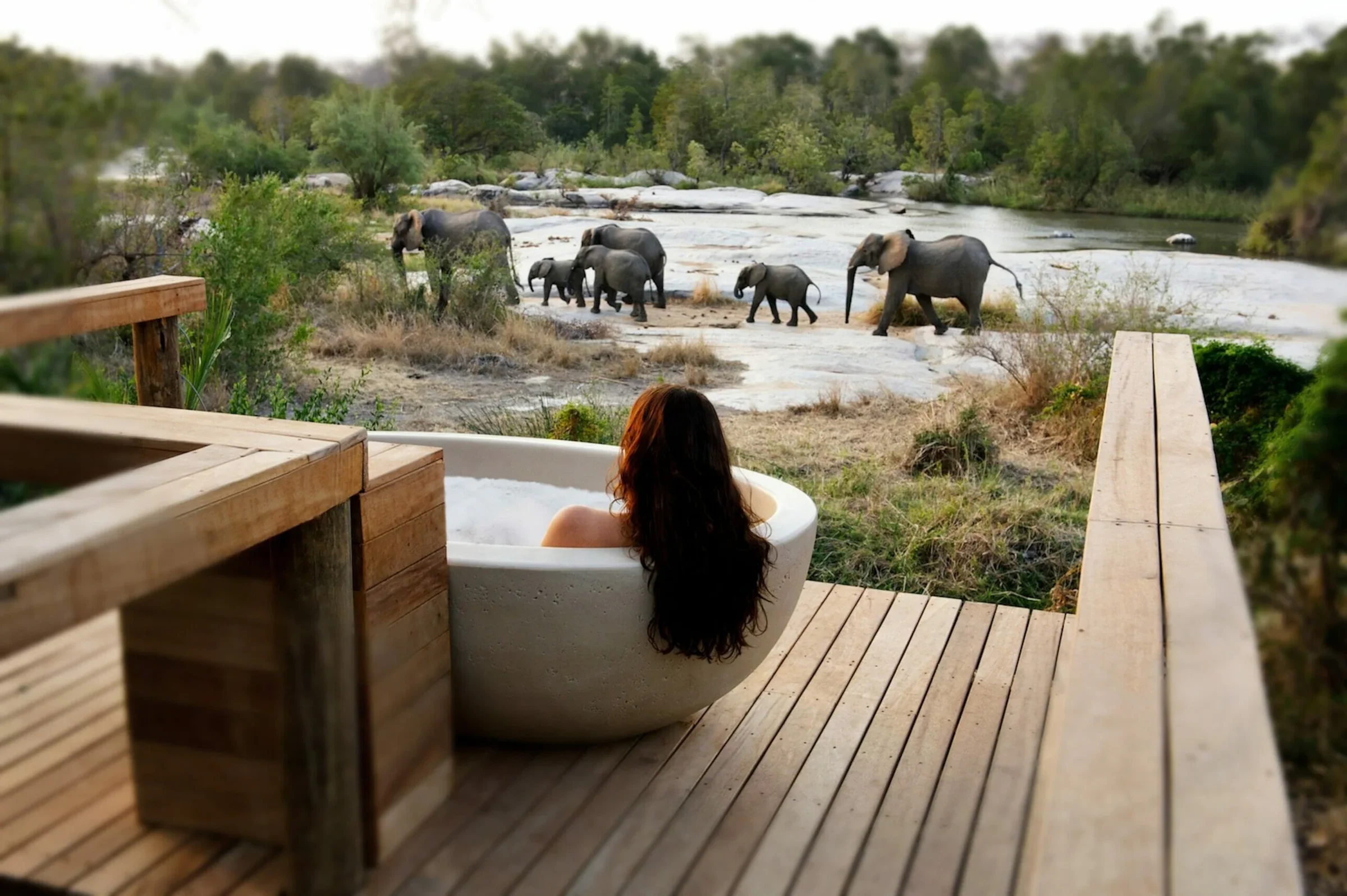 A guest looking from a bath towards elephants beside a river