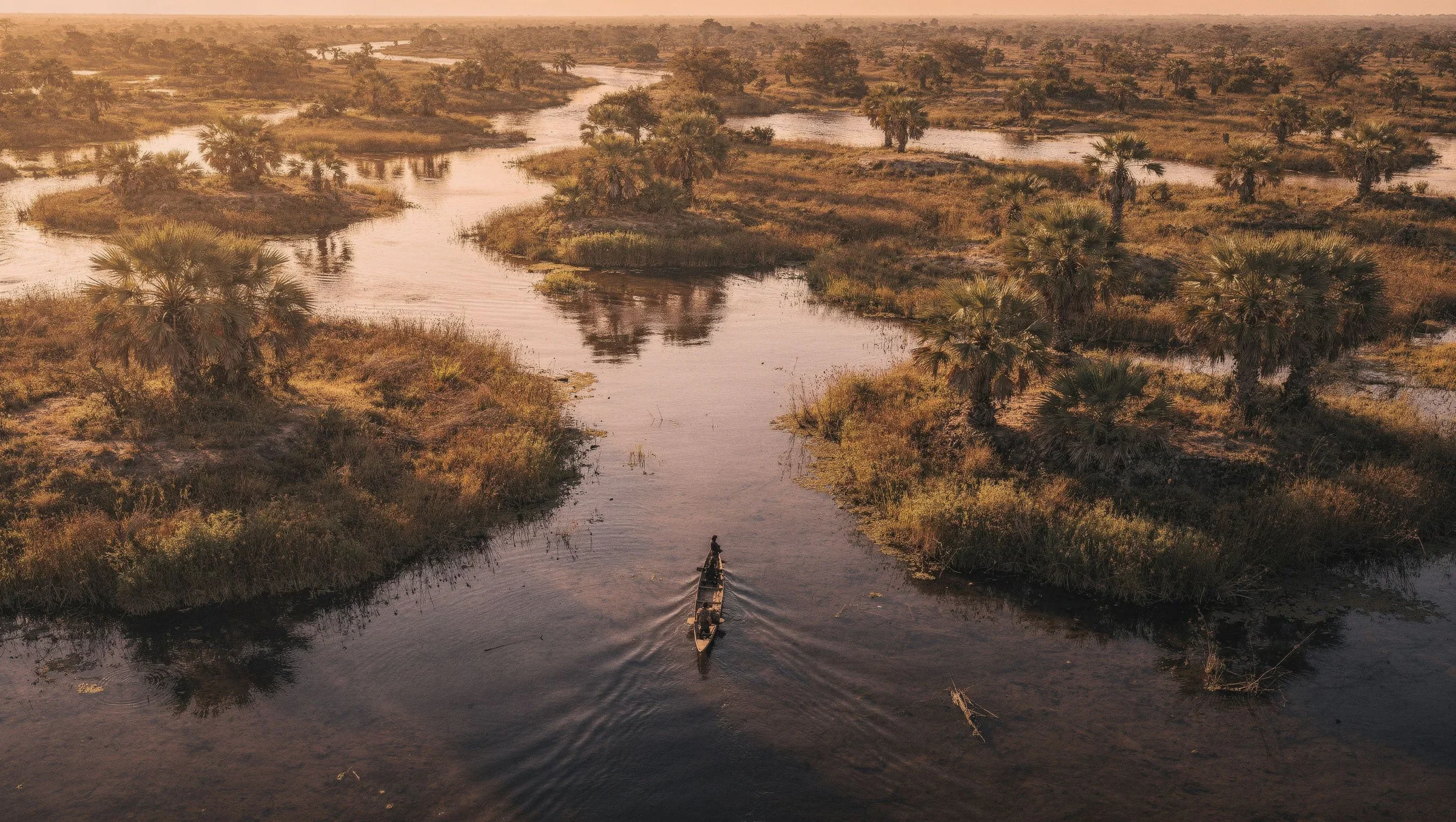Mokoro travelling through the Okavango Delta at golden hour