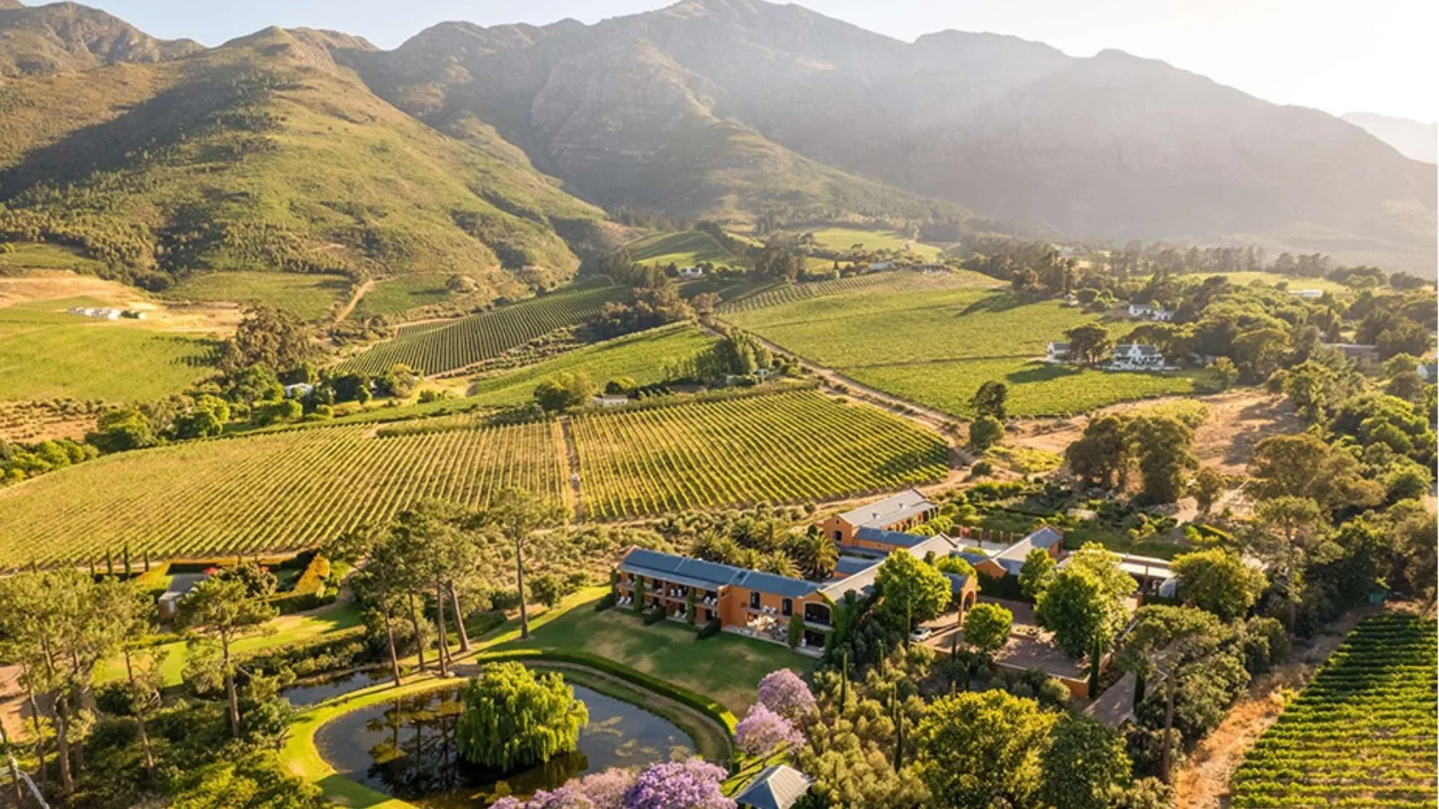 Franschhoek vineyards and mountain scenery in the Cape shoulder season