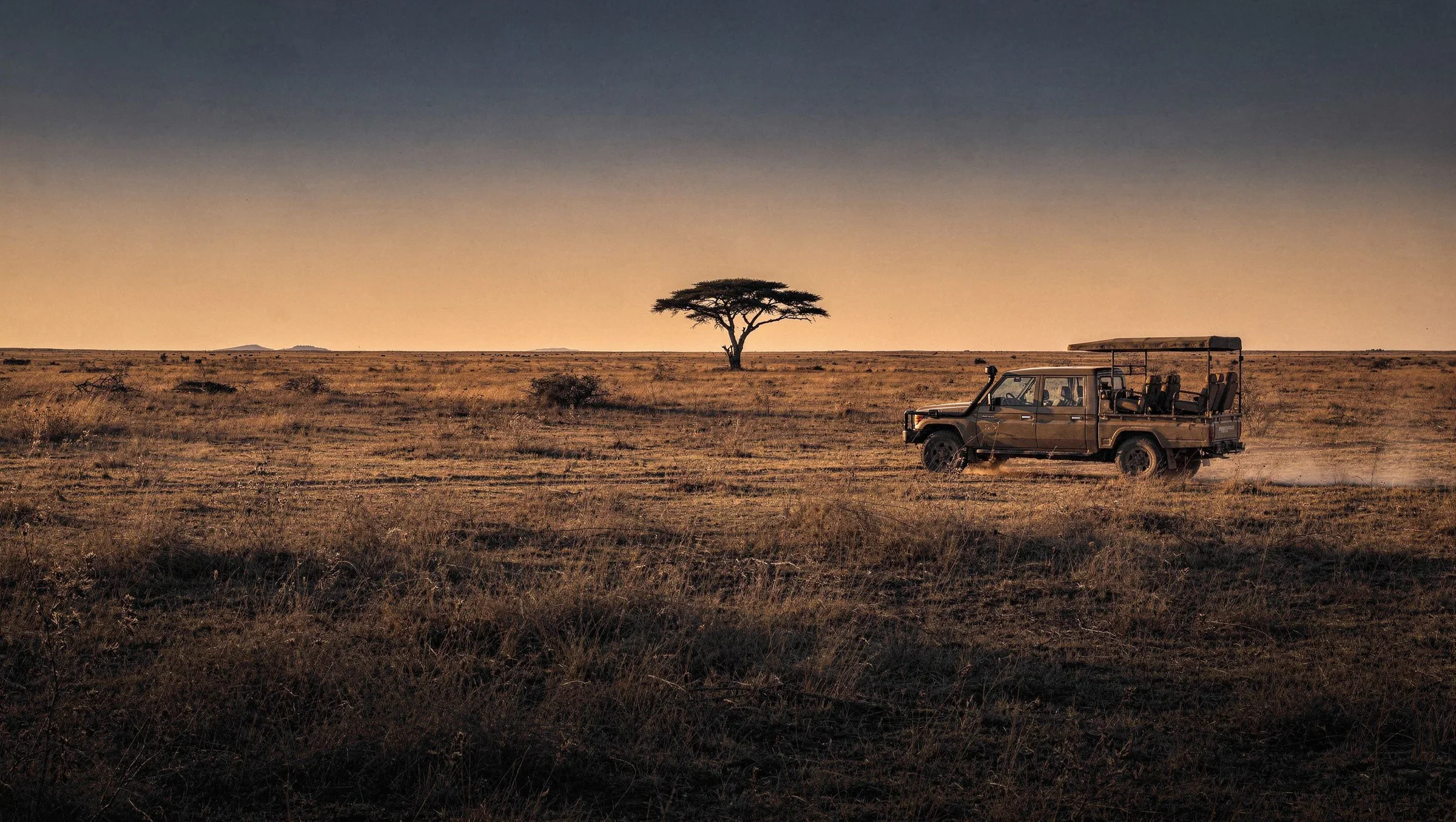 Safari vehicle beneath an acacia tree at sunset