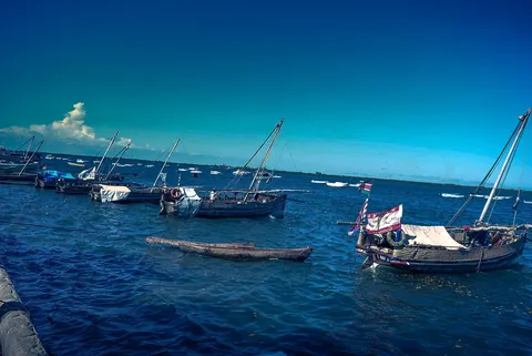 Traditional sailing dhows on the water at Lamu