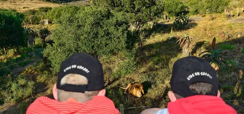Family on a guided safari drive at Kwandwe