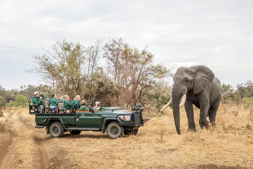 Elephant beside an open safari vehicle in Karongwe